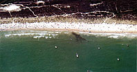 Aerial Picture of Studland Bay