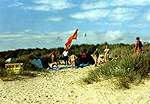 Nudist Beach Action Day 2000 � Studland United Nudists