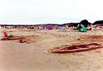 Shell Bay is popular with families � Studland United Nudists