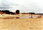 Shell Bay is popular with families � Studland United Nudists