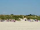 Views along Shell Bay � Studland United Nudists