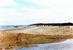 Views along Shell Bay � Studland United Nudists
