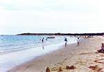 Views along Shell Bay � Studland United Nudists