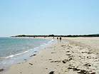 Views along Shell Bay � Studland United Nudists