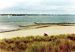Towards Bournemouth from the high dune on The Point � Studland United Nudists