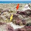 Heather Walk is only yards from the restricted nudist area � Studland United Nudists