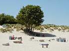 Barbecue area at Shell Bay � Studland United Nudists