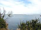 Spectacular views over Studland Peninsula � Studland United Nudists