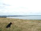 Looking north from Ballard Point towards Studland Peninsula � Studland United Nudists