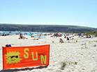 SUNday Sunday - Beach Action Day � Studland United Nudists