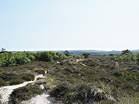 Dunes around the Lily Pond have been used by nudists for decades � Studland United Nudists