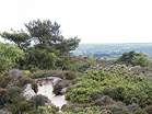 Dunes around the Lily Pond have been used by nudists for decades � Studland United Nudists